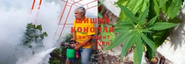спиды Алексин