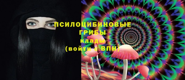 spice Алзамай