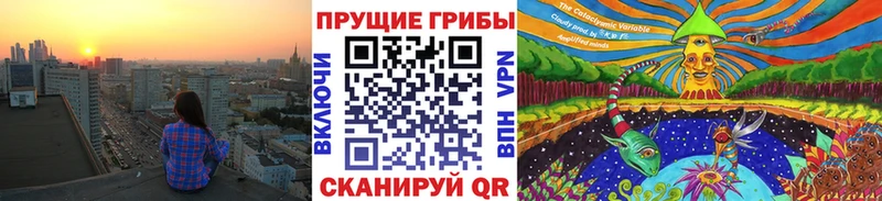 KRAKEN сайт  Люберцы  Псилоцибиновые грибы прущие грибы  где можно купить  