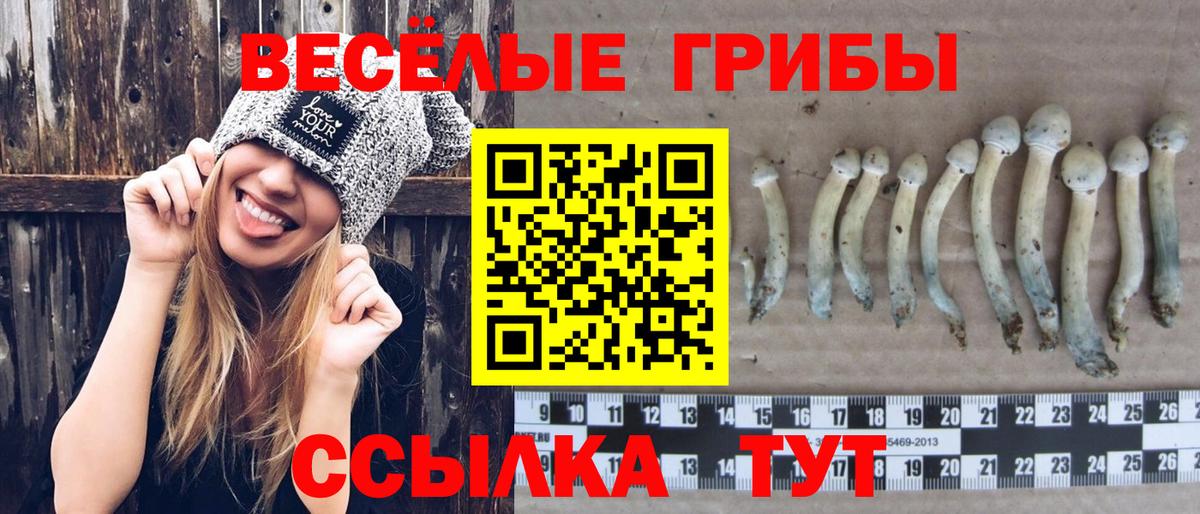 Псилоцибиновые грибы Cubensis  Галлюциногенные грибы Psilocybine cubensis  Вход с VPN  сколько стоит  Люберцы 